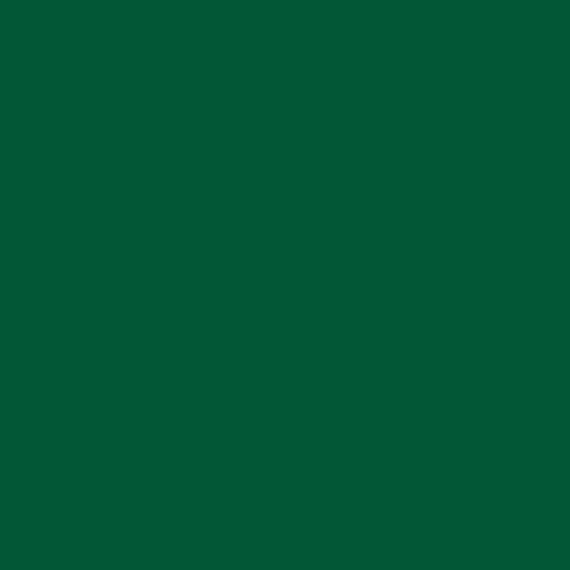 Oracal 060 Тёмно-зелёный