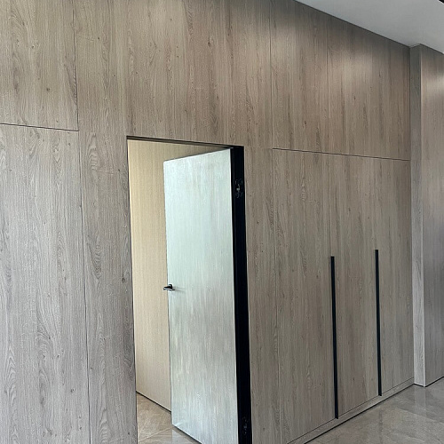 Шкаф в прихожую со скрытой дверью