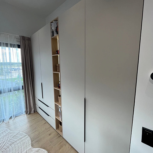 Распашной шкаф "Хранитель гармонии"