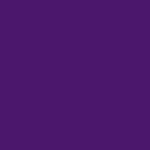 040 Фиолетовый