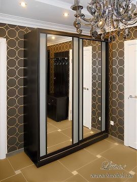 Корпусный зеркальный шкаф купе в прихожую Корпусный зеркальный шкаф купе в прихожую