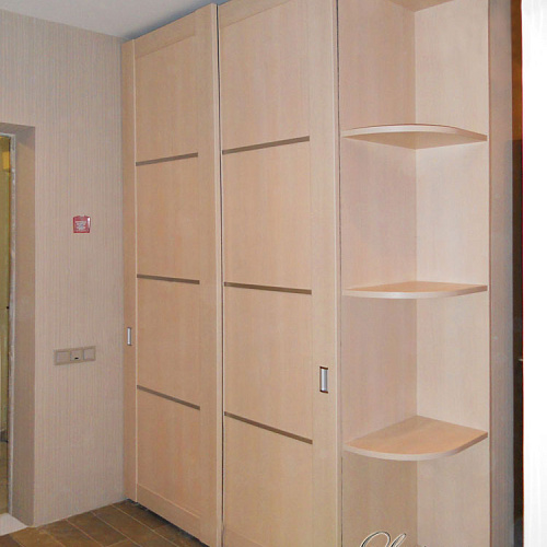 Корпусный шкаф-купе с подвесными дверьми