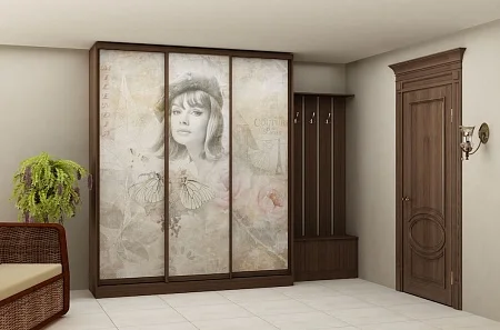 Шкаф в прихожую с фотопечатью Шкаф в прихожую с фотопечатью