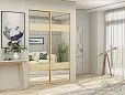 Комбинированные двери-купе из зеркала и стекла с профилем цвета матовое золото Комбинированные двери-купе из зеркала и стекла с профилем цвета матовое золото