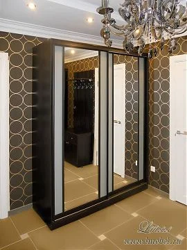 Корпусный зеркальный шкаф купе в прихожую Корпусный зеркальный шкаф купе в прихожую